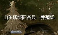 山东聊城阳谷县一养殖场发现炭疽病例，接触者已隔离治疗