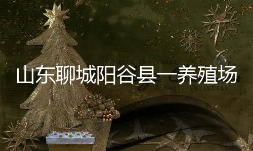 未发现其他阳性家畜
