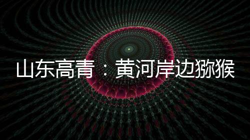 一派秋日的丰收景象