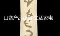山寨产品泛滥 生活家电企业需加强创新