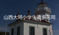 山西大同小学生遭多名同学辱骂、殴打、欺凌，官方通报