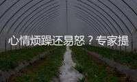 心情烦躁还易怒？专家提醒35℃以上当防“情绪中暑”丨硬核唠科