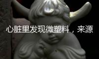 心脏里发现微塑料
，来源耐人寻味