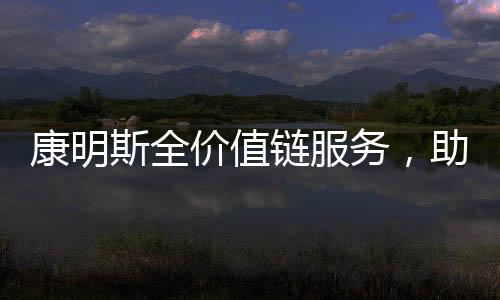 铲板车在湿润环境中精准装卸