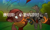 康明斯：小暑纳凉时
，“芯”静自然强