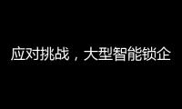 应对挑战�
，大型智能锁企业要“刹住车”