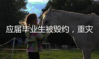 应届毕业生被毁约
�	，重灾区在当红行业