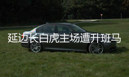 马绝结果不幸的分仍是