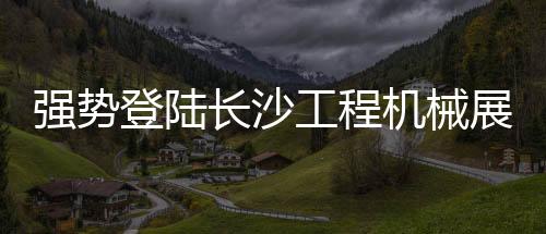 装载机高速电机等全新产品