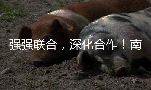 战略全球营销总监杨增厅