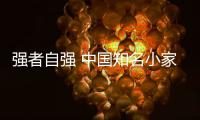强者自强 中国知名小家电品牌升级营销战略层面