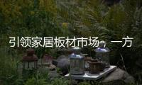 引领家居板材市场	
，一方树健康家居行（白城站）圆满落幕