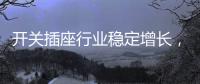 开关插座行业稳定增长
，NVC雷士电工脱颖而出