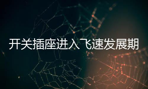 SOK开关插座迎合这一趋势