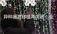 异种器官移植再突破：全球第三例基因编辑猪肾移植人体｜周一健