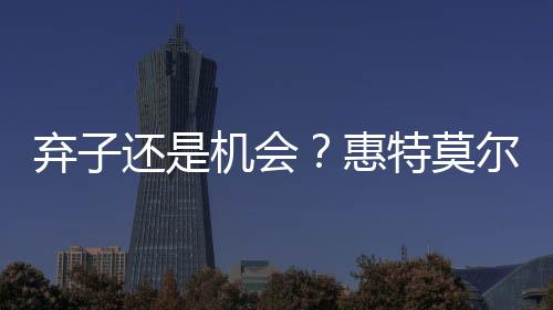 后来就读于维拉诺瓦大学