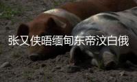 张又侠晤缅甸东帝汶白俄防长