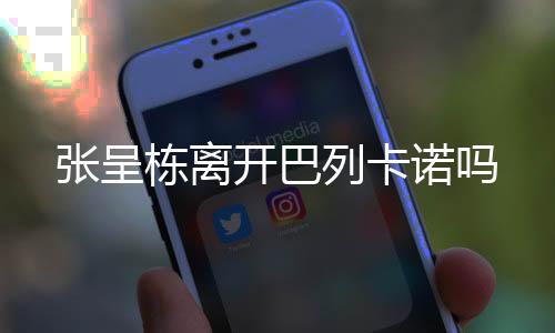 张呈张呈栋仅出战过一场西甲