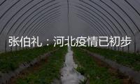 张伯礼：河北疫情已初步得到抑制 整体形势可控