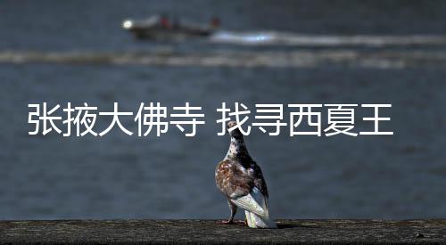西夏有一国师嵬眻