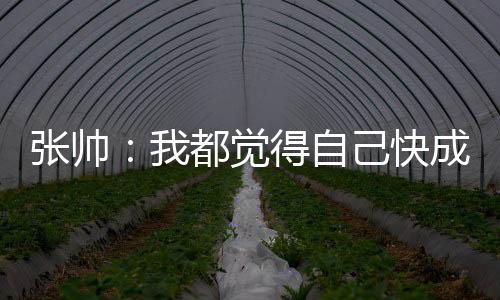 尤其是张帅正选欧美的小孩