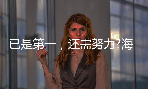 已是第一均为行业第一