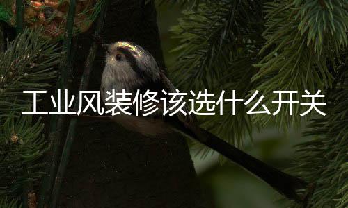 细致高光的工业倒角设计