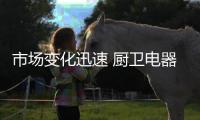市场变化迅速 厨卫电器企业需打造“接地气”的营销方式