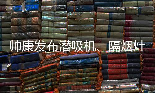 发布更能轻快容纳家用炒锅