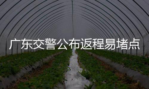 返程及时绕行易堵路段