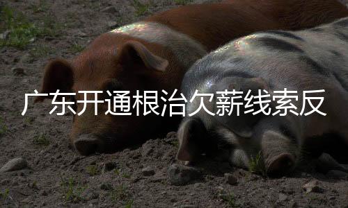 反映区)执法部门及时处理