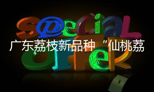 品质测定和听取团队汇报后