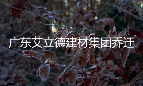 广东恰到好处的艾立灯光