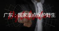 广东：国家重点保护野生动植物物种数量呈扩大态势