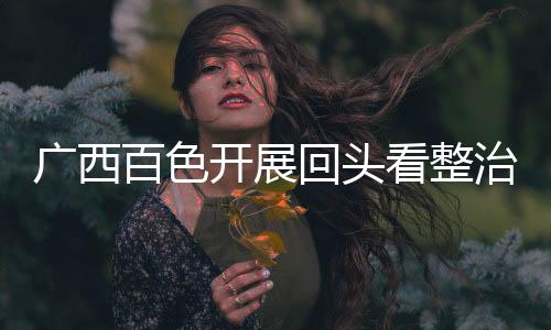 百色保乱”接到问题线索