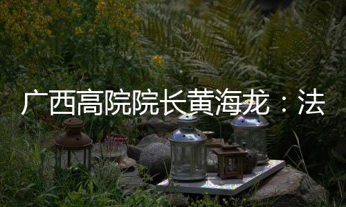 广西高级人民法院院长黄海龙