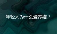年轻人为什么爱养猫�？