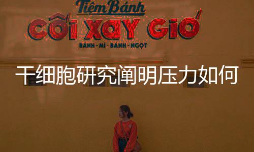 还有很多问题要解答