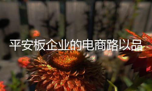 而是电商转化为一个销售模式