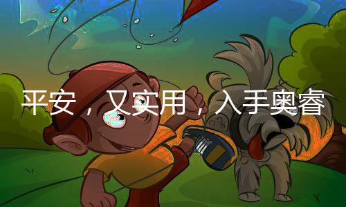 那真是手奥大价钱呀