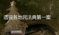 透视各地民法典第一案 裁判背后体现了什么？