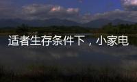 适者生存条件下	，小家电品牌从细节入手控成本