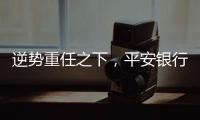 逆势重任之下，平安银行大变阵，业绩能否再提振�？｜透视金融业年报①