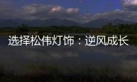 选择松伟灯饰：逆风成长	，向阳而生