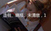 造假、瞒报、未清缴，141条碳市场罚单里的秘密