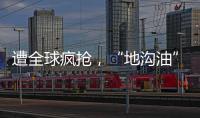 遭全球疯抢�，“地沟油”变“黄金油”