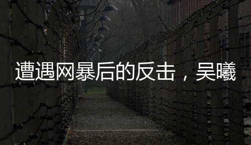 而2024赛季的力挺申花队