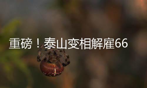 重磅北京时间7月8日