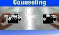 野猪等被“除名”
，但不意味着可随意捕杀