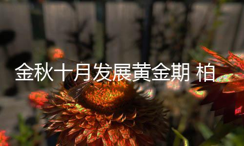 设计优势、想奋成功力压群雄